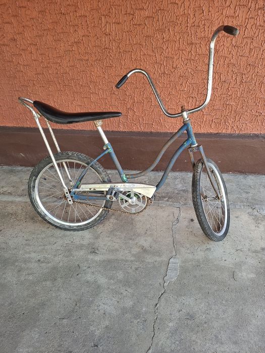 Pegas cu coarne inalte si sa lunga