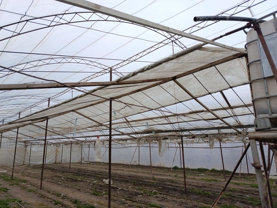 Parnik (ISSIQXONA) SOTILADI... (22,5×28)m