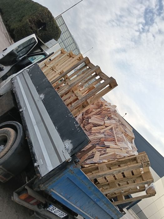 Deșeuri fag la plasa, 1 mc