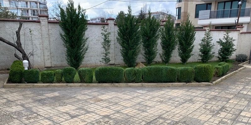 Пълна грижа за вашата градина: Косене, стрижка и растителна защита