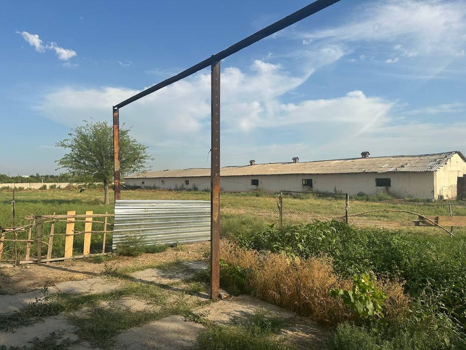 Ferma. Chorva mollari uchun.