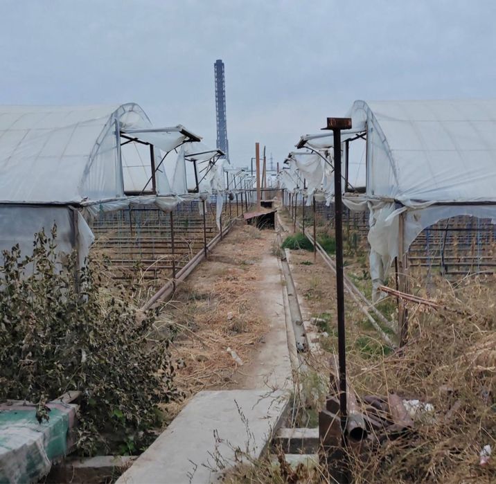 Готовый агробизнес: тепличная ферма в Назарбеке