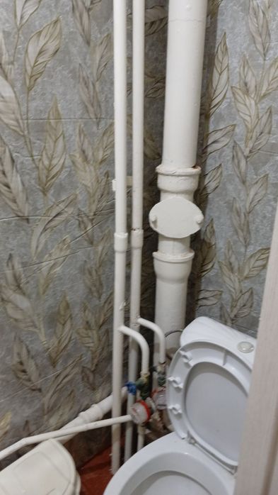 Еврореморт все виды