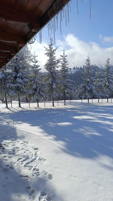 Cabana de inchiriat cota 1200 Tihuta