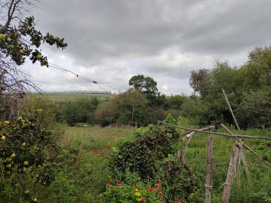 Къща с голям двор в Житен