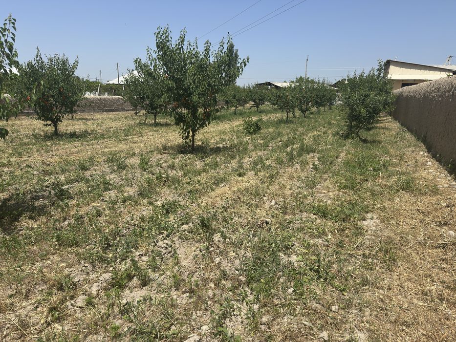 Yer uchastka(chek)sotiladi