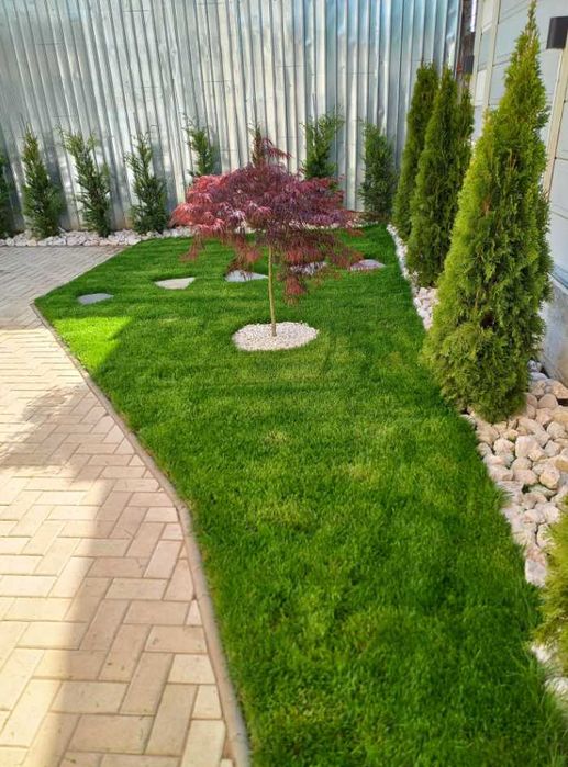 Gazon Rulou Dens și Viguros – Verificare Video și Montaj Rapid