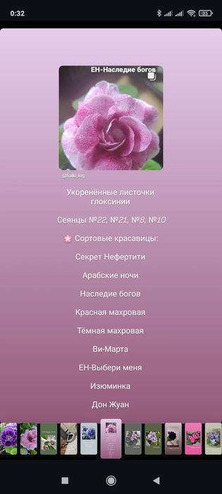 Фиалка трейлер мини самовывоз Актас