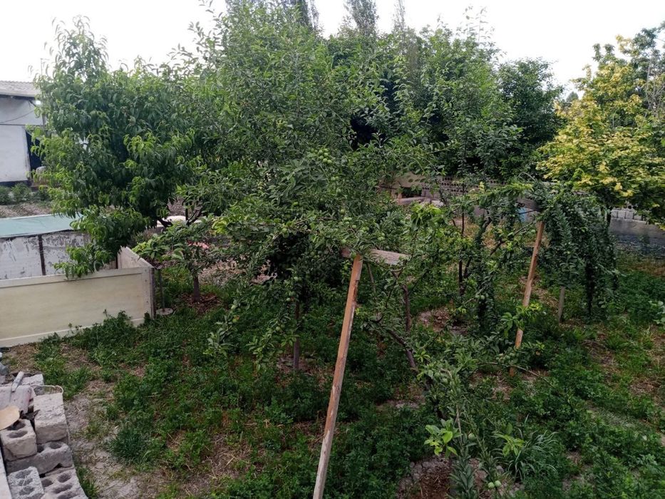 Yer sotiladi said ota