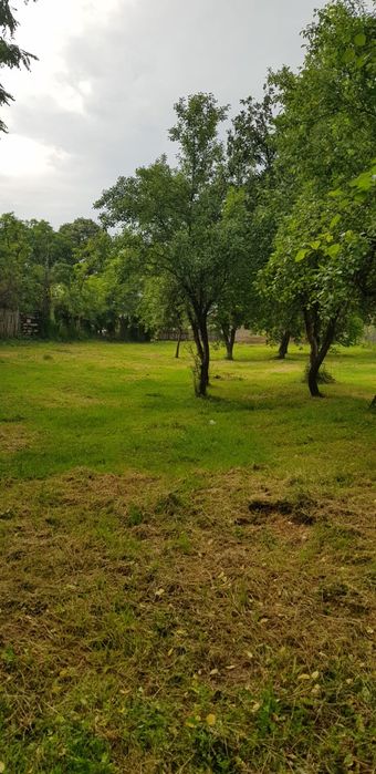 Vând casă batraneasca + teren intravilan în Comuna Danesti