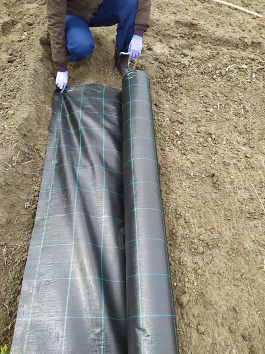 FOLIE AGROTEXTIL MULCIRE, 100 gr/mp, 7 ani Garantie