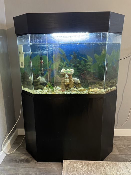 Авариум  с тумбой