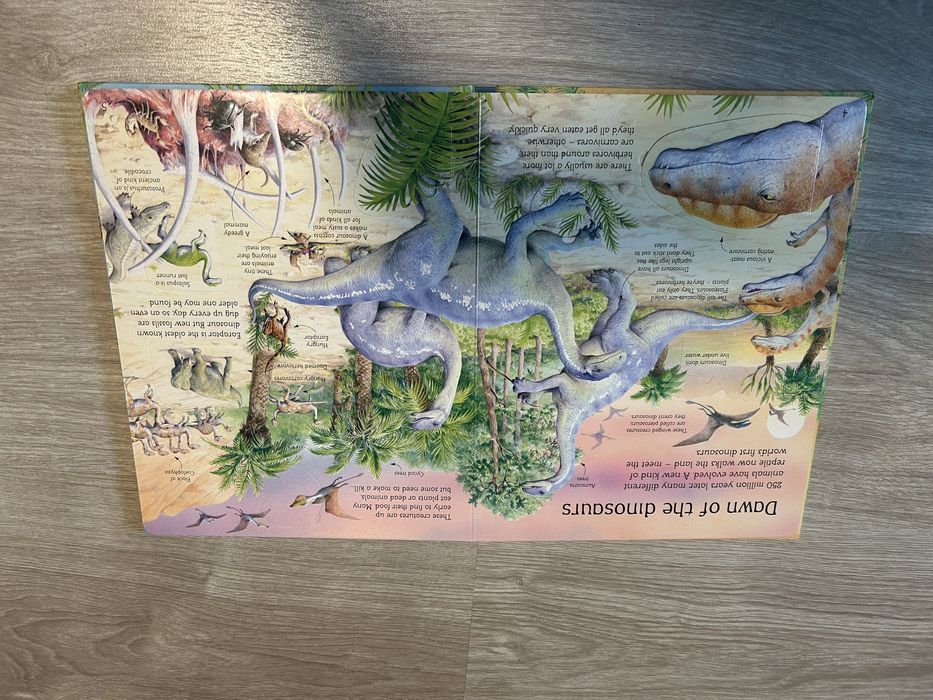 Carte Usborne Dinozauri