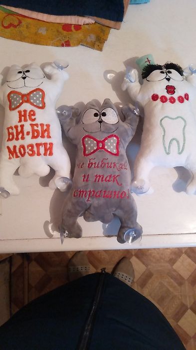 Автокот в машину