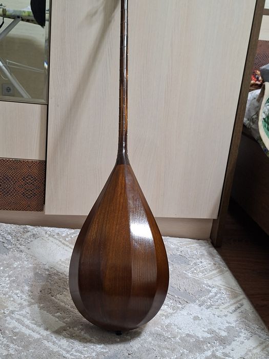 Домбыра профессиональный