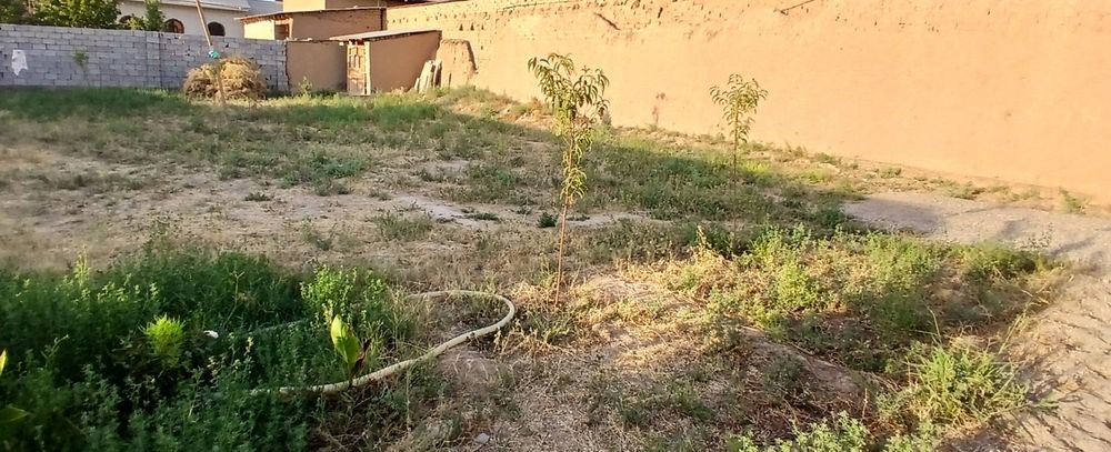Choshtepa Oshmarkazidan uchastka sotiladi. Hujjati 100%.