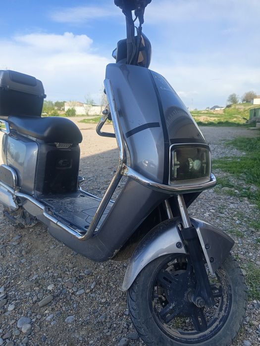 Cavalo skuter yaxshi