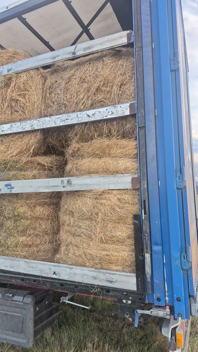 Baloti fan sau Lucerna Rotunzi 1,2 m x 1,2 m Transport inclus RO HU