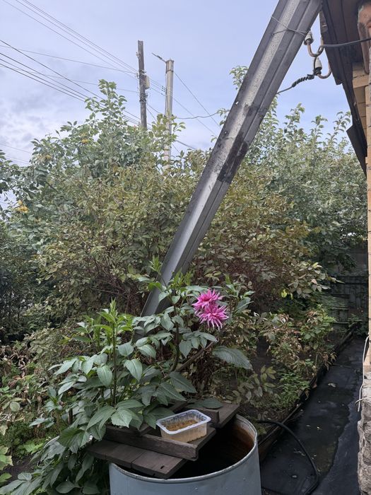 Продается дом в соц городе