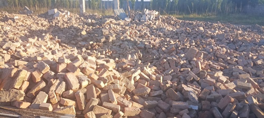 Pishgan Gish kop miqdorda kelishtirib bervoraman bekabod Zafardan