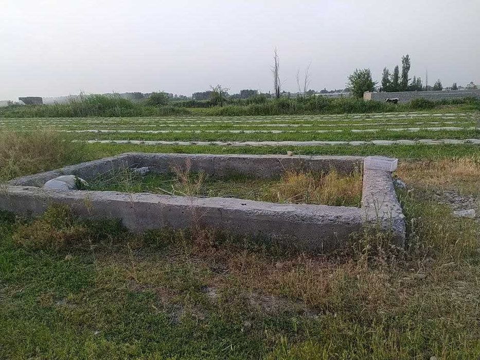 Земля в Аккурганском районе / Oqqoʻrgʻon tumanida 6 sotih yer