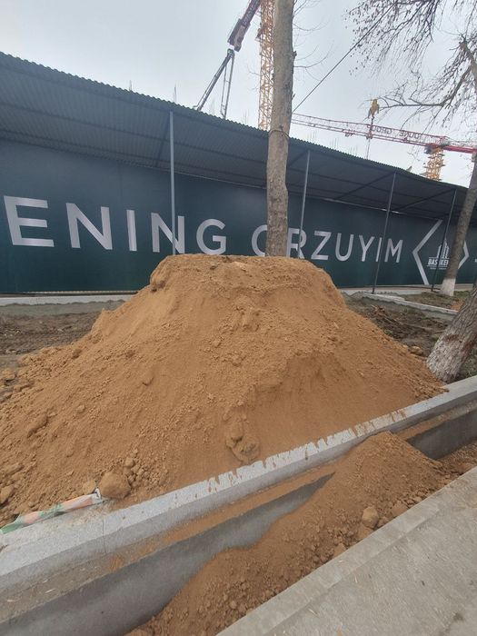 Gazonga Tozza Sariq Turpoq Tuproq Turpo sof turpoq