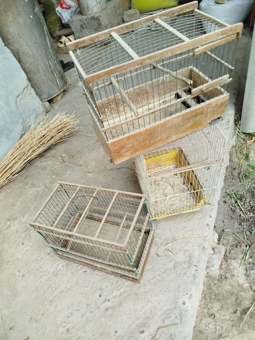 Клеткалар борррр.