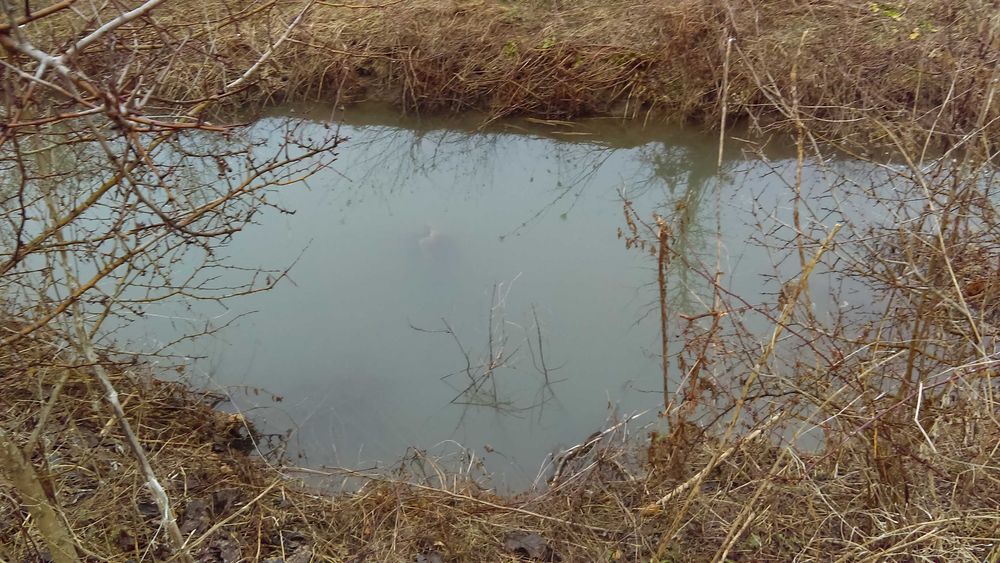 Продава се Земеделски имот в с. Николаевка, Област Варна -  кв.м за 4200 €/дка - Снимка #3