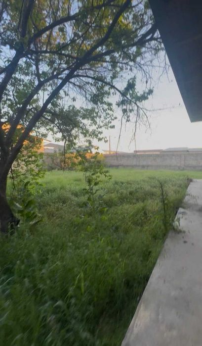 Srochna Sotiladi Uchaska Nazarbek Tarnov 8 sotix