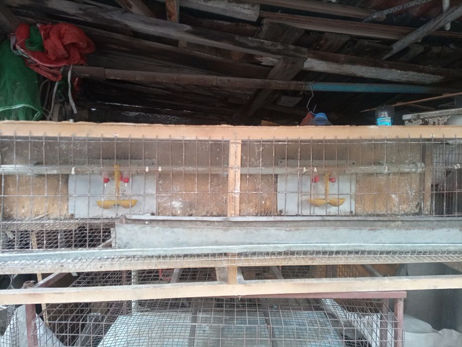 Клетки для перепелов