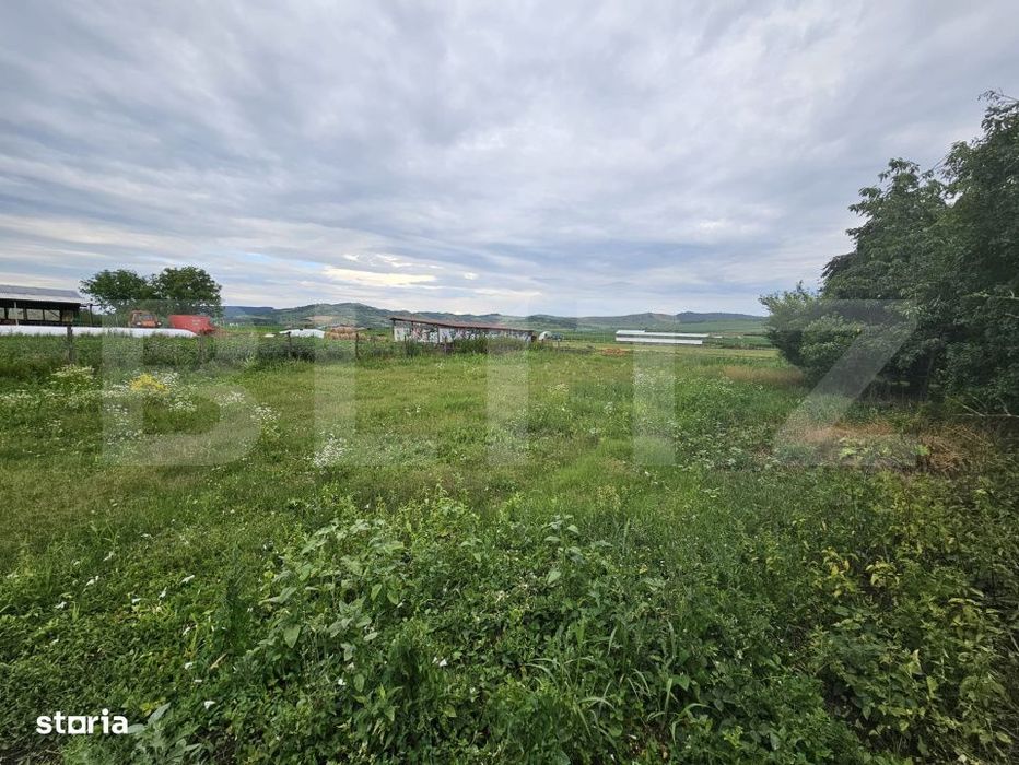 Casa de vanzare, 94 mp, teren intravilan 2.698 mp, Cisteiu de Mures