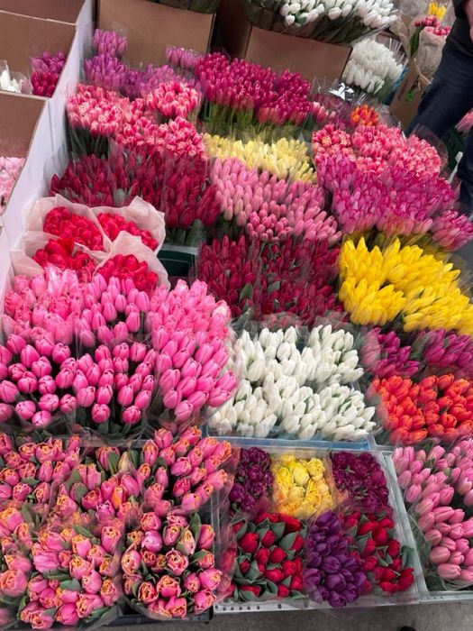 Тюльпаны оптом на 8 марта