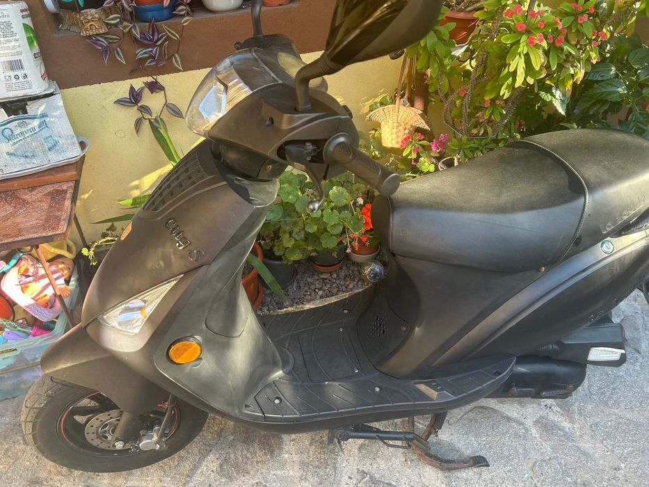 Suter 50cc LaSouris