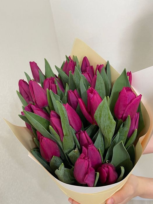 Продам тюльпаны крупные