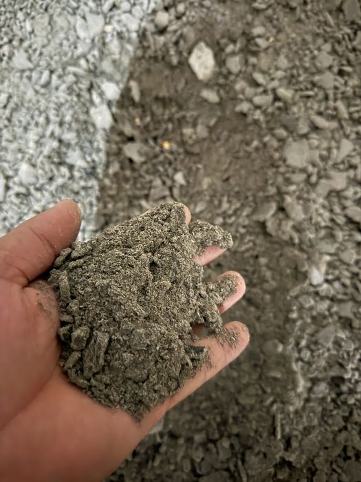 Sc vinde cu transpot la camion vrac Srot floarea soarelui