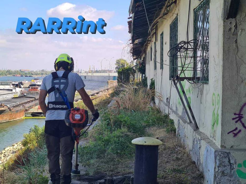 Професионална грижа за дървета, Арборист