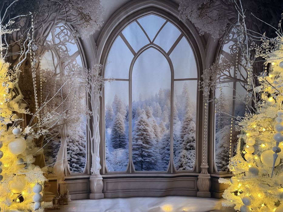 Fundal foto iarna 250x300