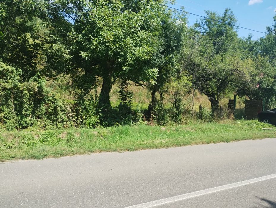 Teren Intravilan suprafața 1646mp