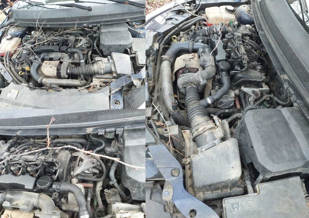 Masina Ford Focus variant, motorina 2006 Km: 288036