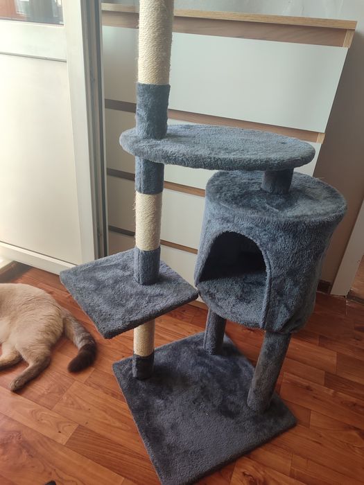 Продам клегтеточку