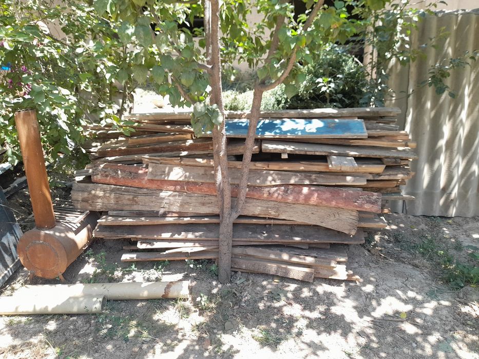 Taxta vassalalik, utin sotiladi