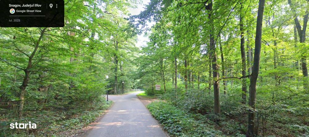 Teren de Vis,4000mp, 40m,deschidere,lac,padure,asfalt,utilitati,Snagov