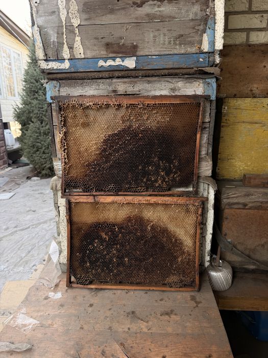 Сушь и фляги 40л.