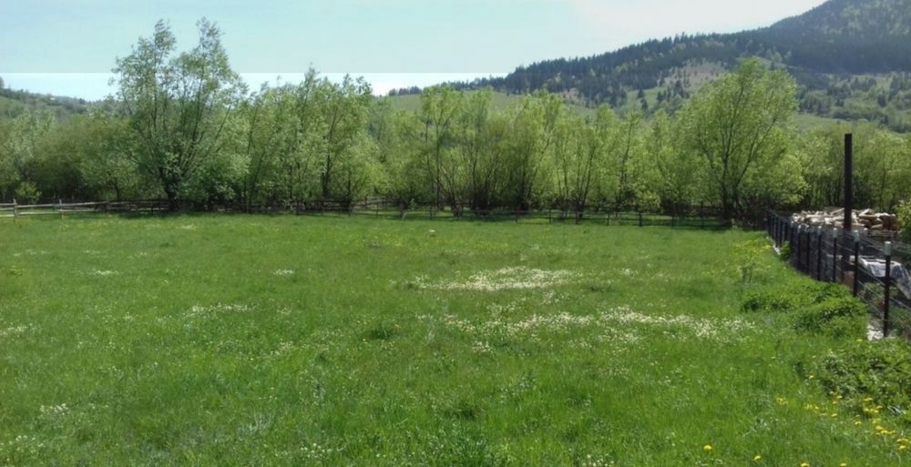 Teren intravilan Vama SV 1921mp 39ml deschidere gaz apa curent