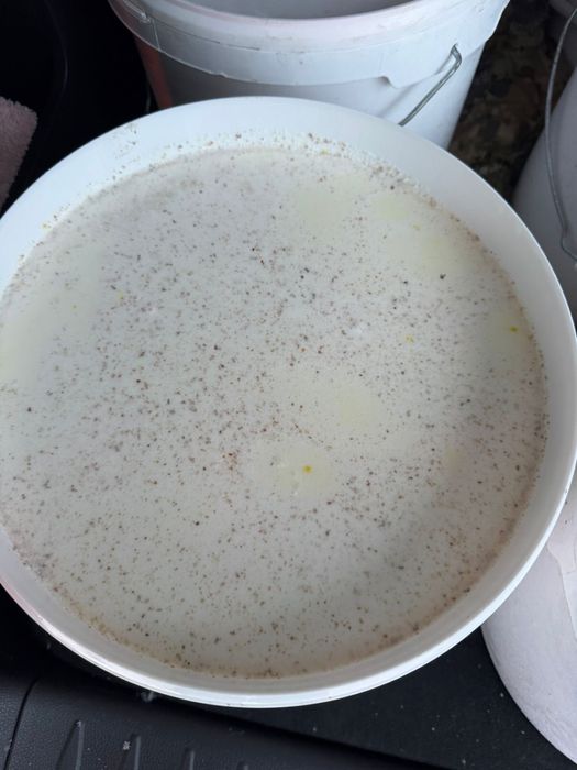 Продам Катонский мед разнотравие