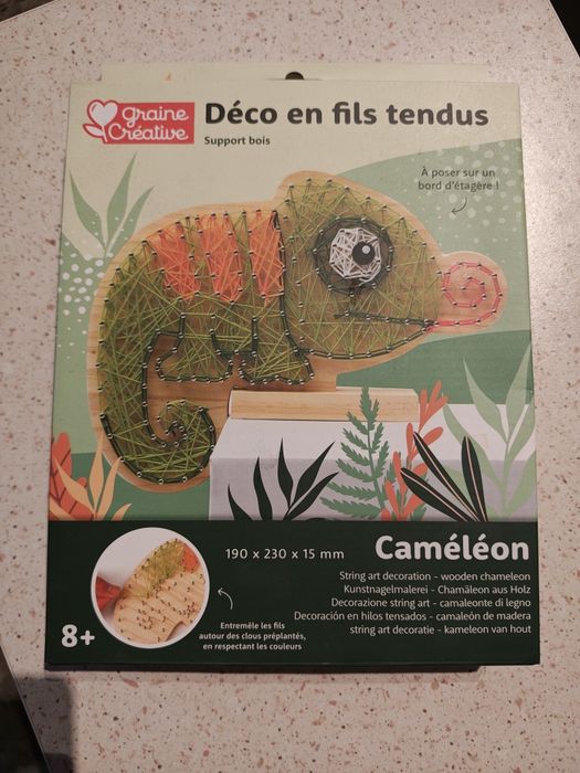 Set nou Kit string art pentru copii, model cameleon, Graine Creative