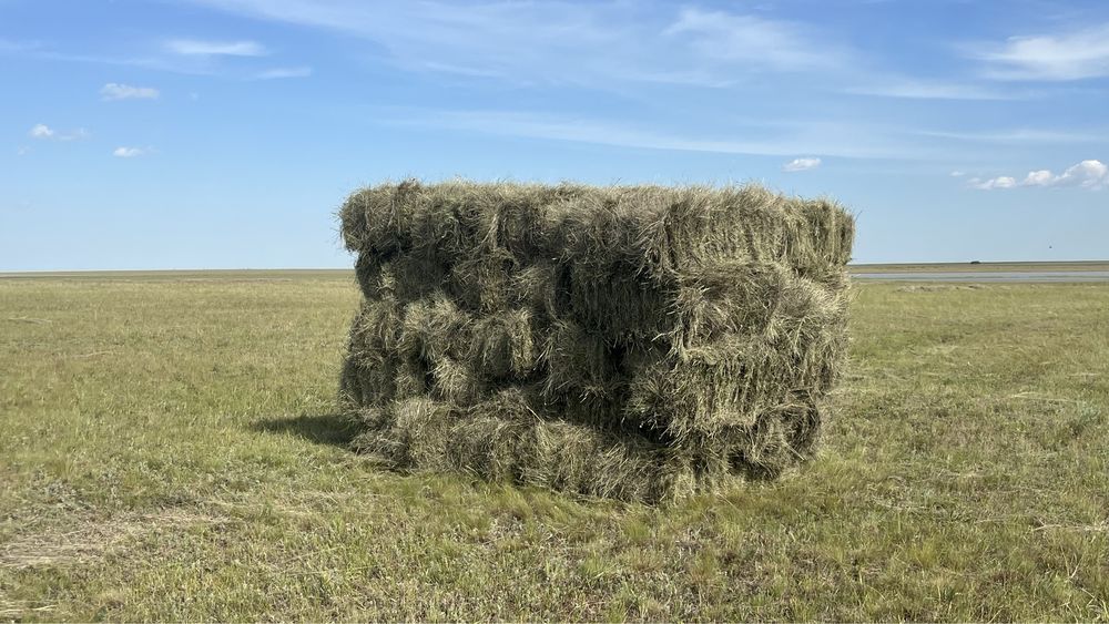 Продам сено в тюках