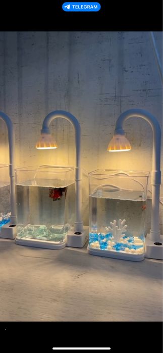 Аквариум вместе с рыбой