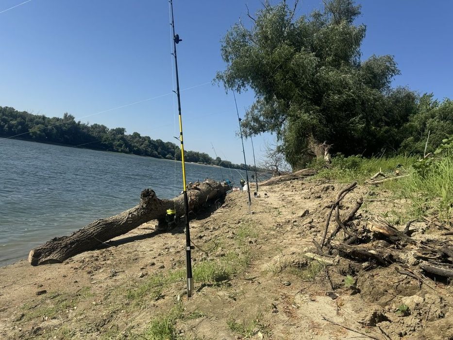 Стойки за сом и за шаран