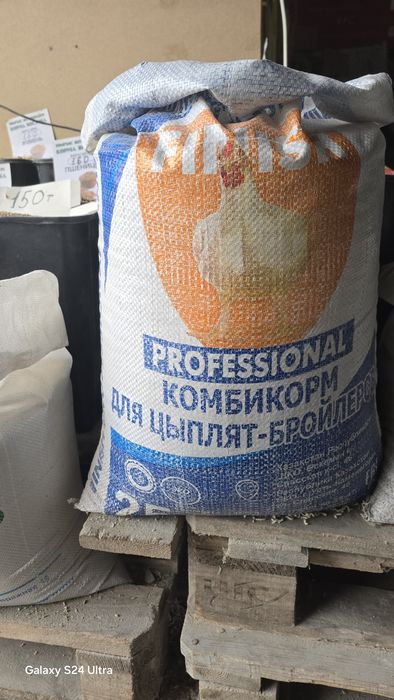 Несушка корм для несушек кур